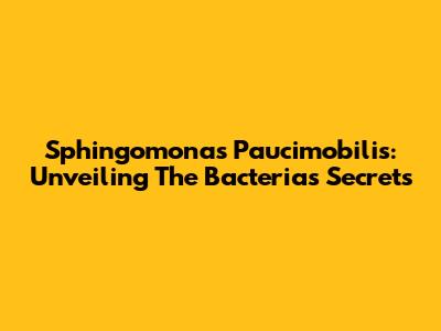 Sphingomonas Paucimobilis: Unveiling The Bacteria's Secrets
